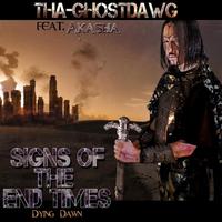 Signs of the End Times (Dying Dawn) [feat. Akasha]