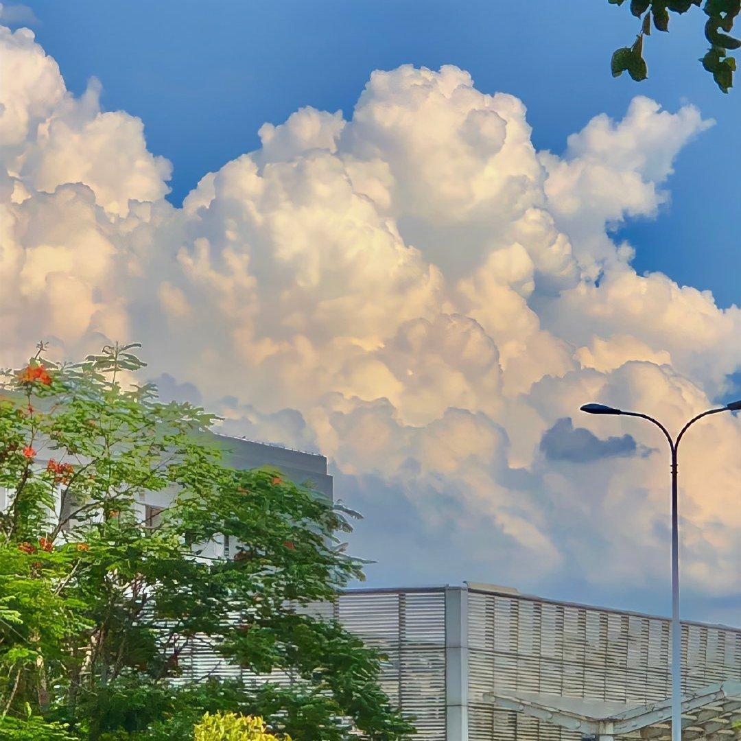 8bite | 宝藏音乐人⭐ 温柔风 沉溺