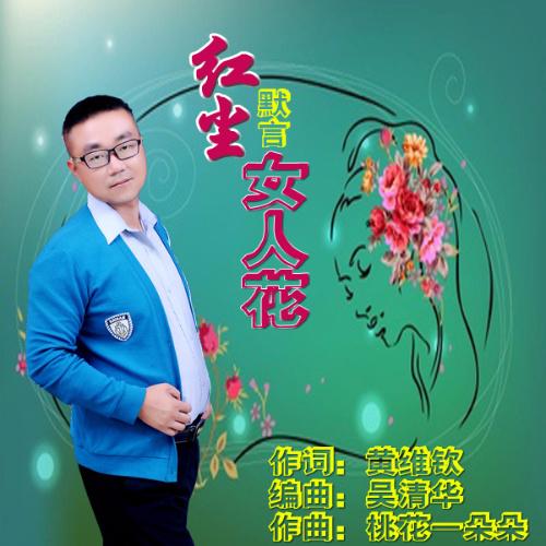 红尘女人花封面