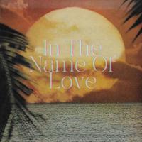 In The Name Of Love