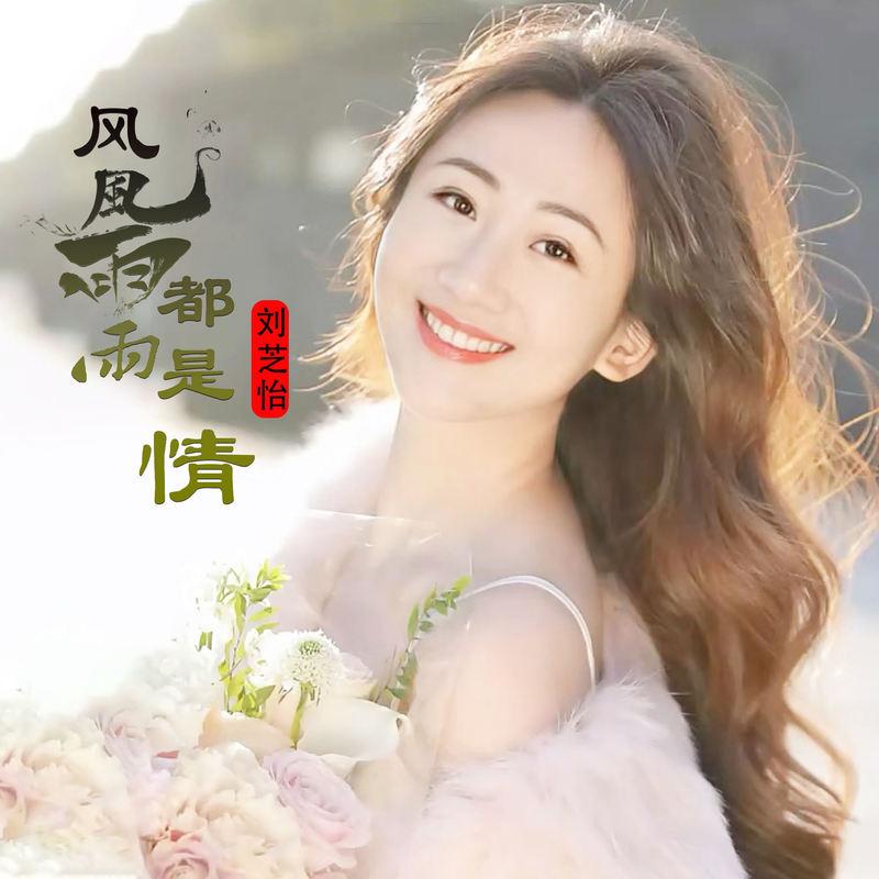 风风雨雨都是情 (DJ阿能版)封面