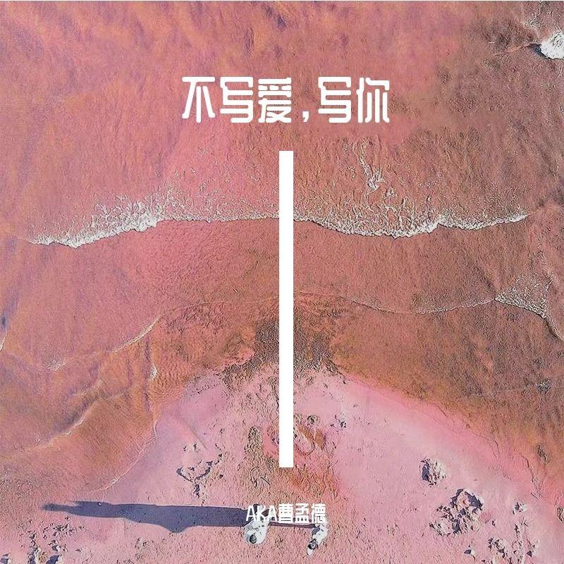 不写爱，写你封面
