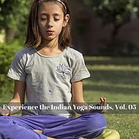 Experience The Indian Yoga Sounds, Vol. 05