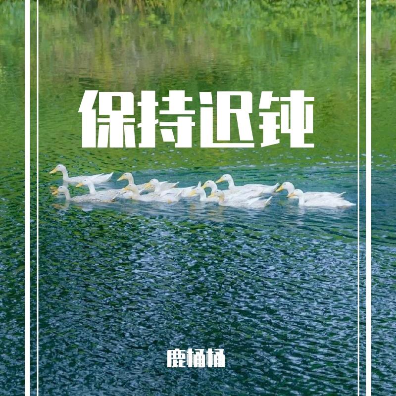 迟钝封面