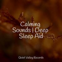 Calming Sounds | Deep Sleep Aid