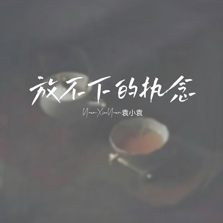 放不下的执念封面