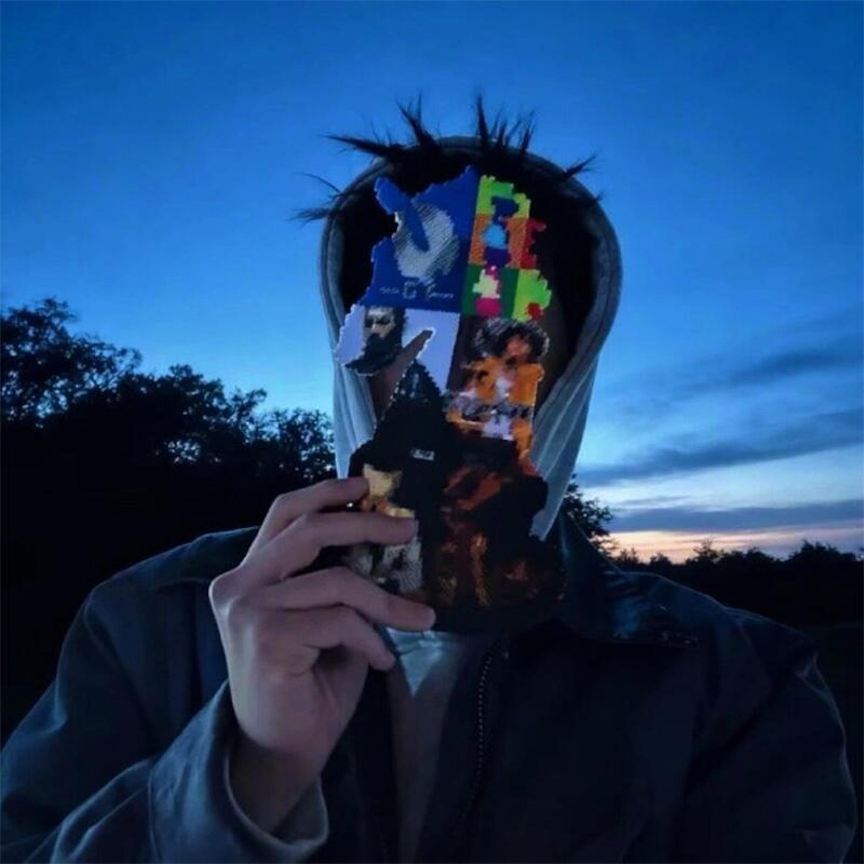 俯仰流年二十春