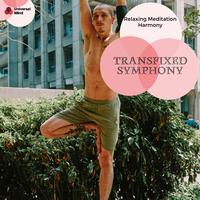 Transfixed Symphony - Relaxing Meditation Harmony