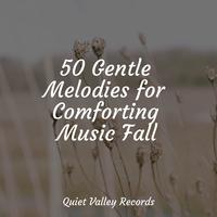 50 Gentle Melodies for Comforting Music Fall