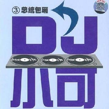 DJ小可 最新汽车音乐