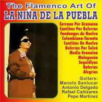 The Flamenco Art