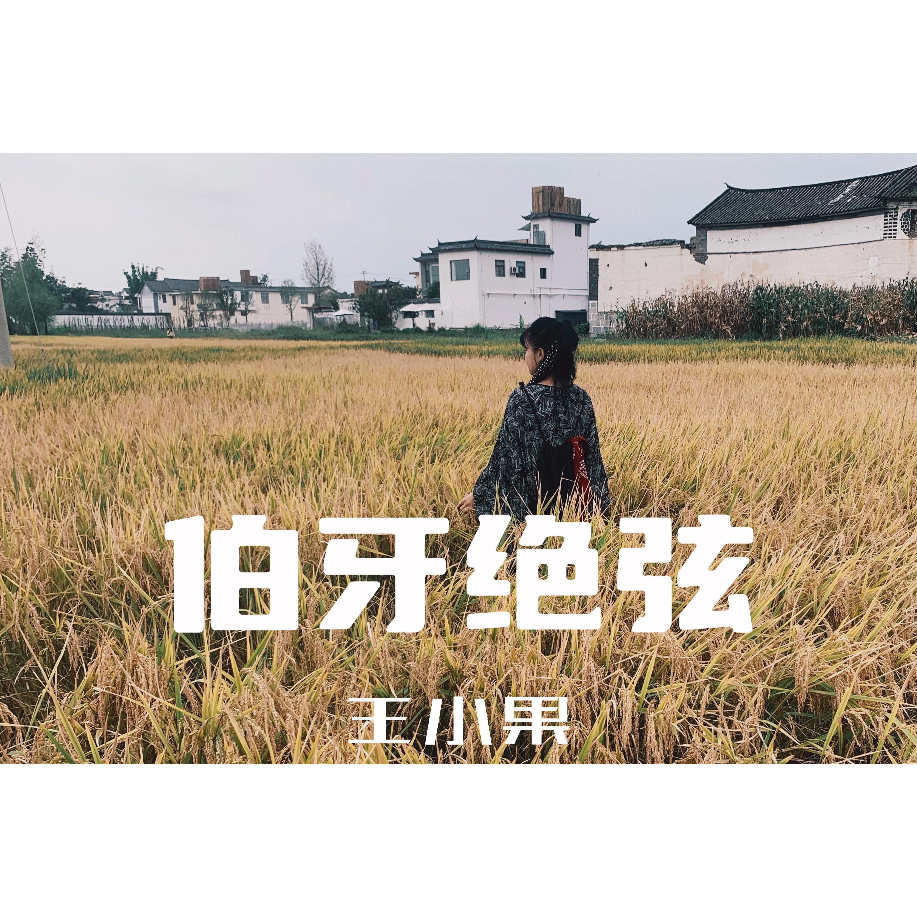伯牙绝弦 伴奏封面