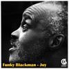 Funky Blackman - Joy (Funky Blackman Mix)