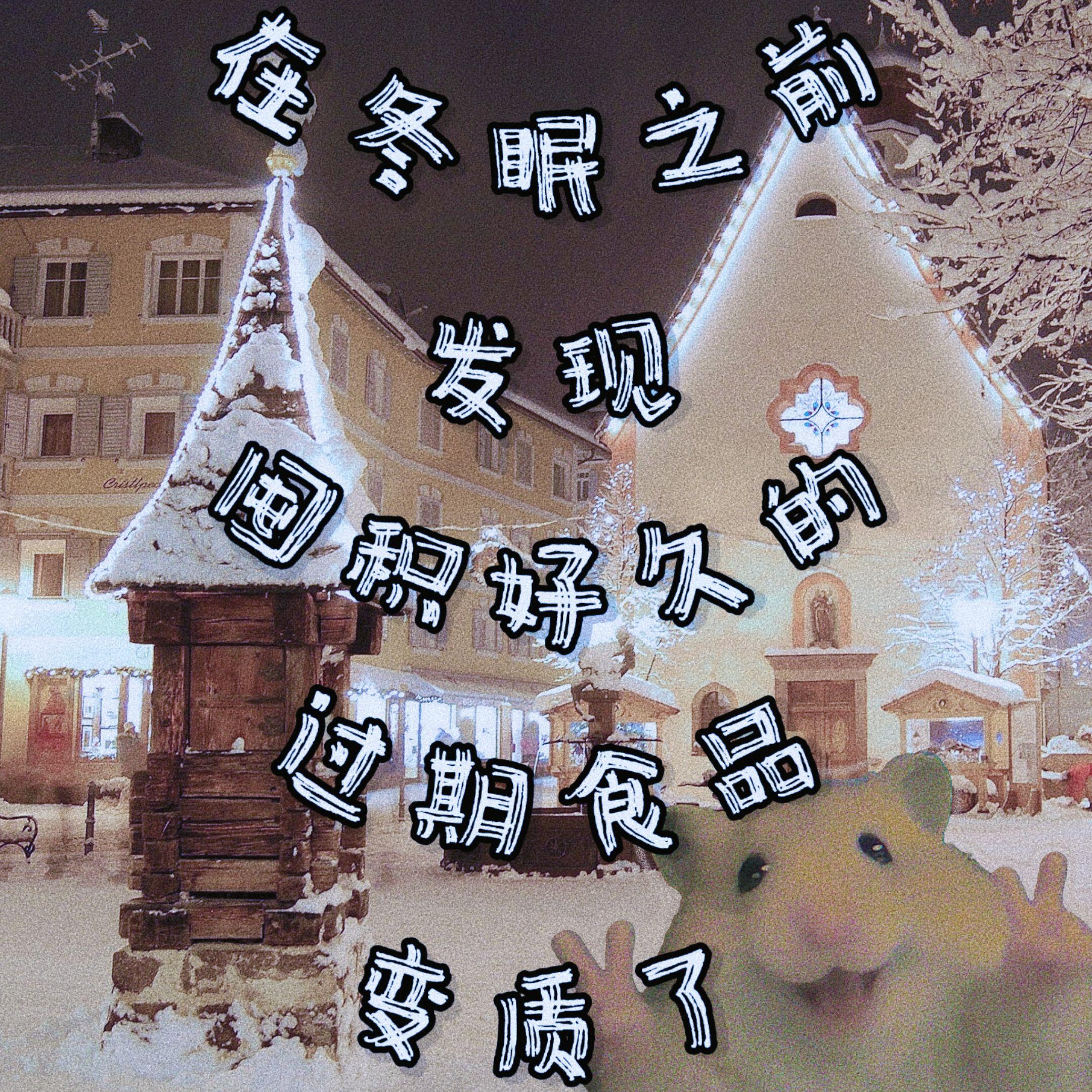 在冬眠之前发现囤积好久的过期食品变质了（Prod.Gr33nart Beats）封面