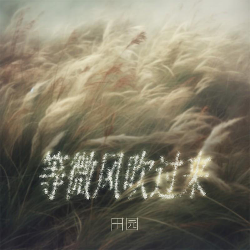 等微风吹过来 (伴奏) - 田园封面