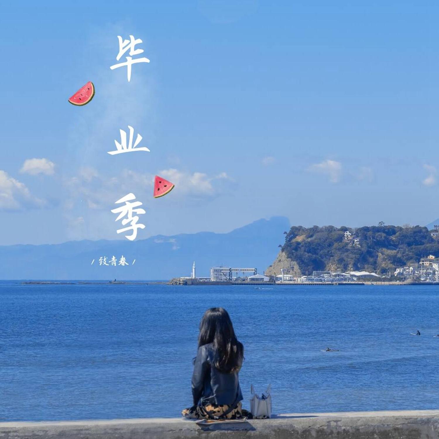 言不由衷的人封面