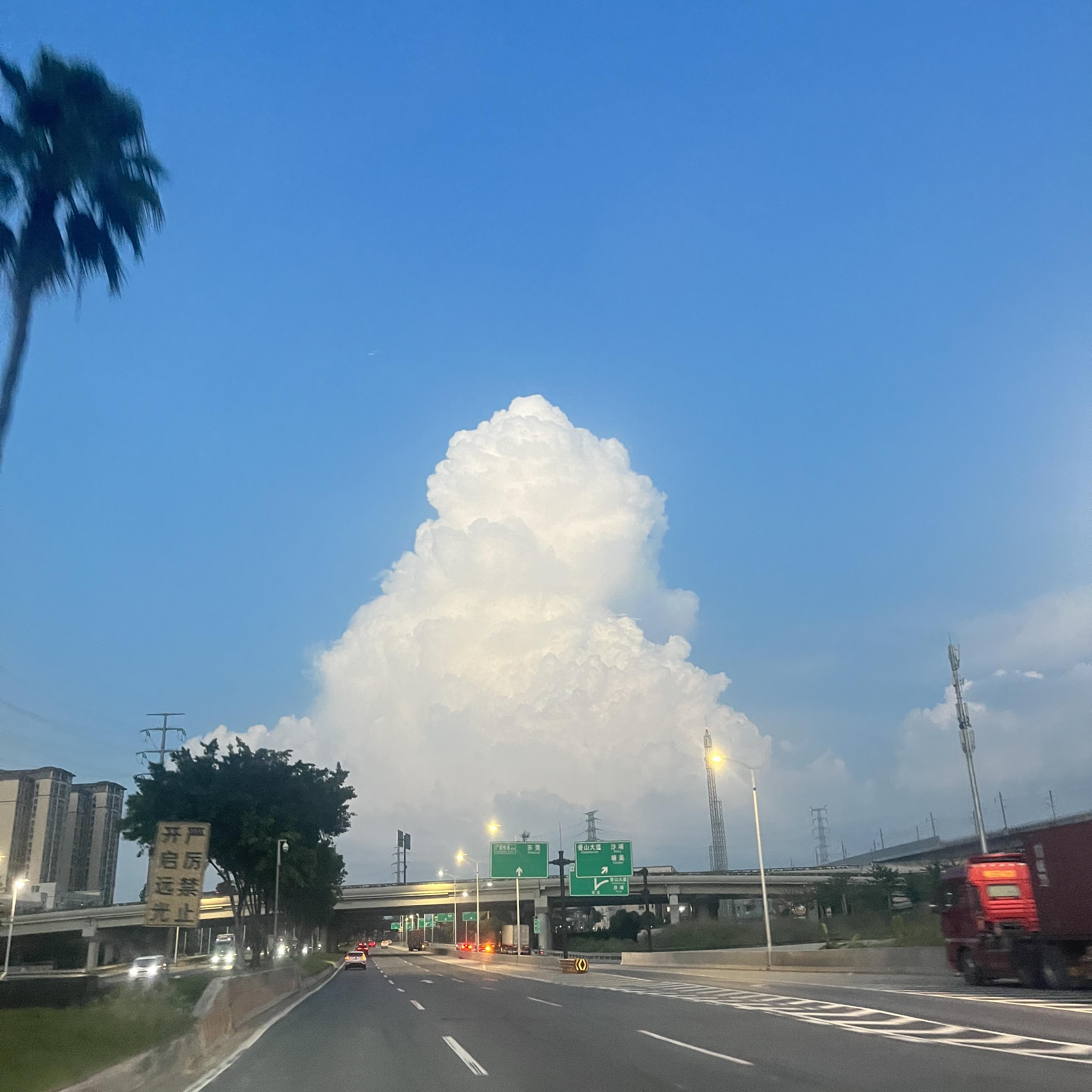 流泪的情人封面