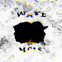 Wake Mc's (feat. Y & Aqua-G)