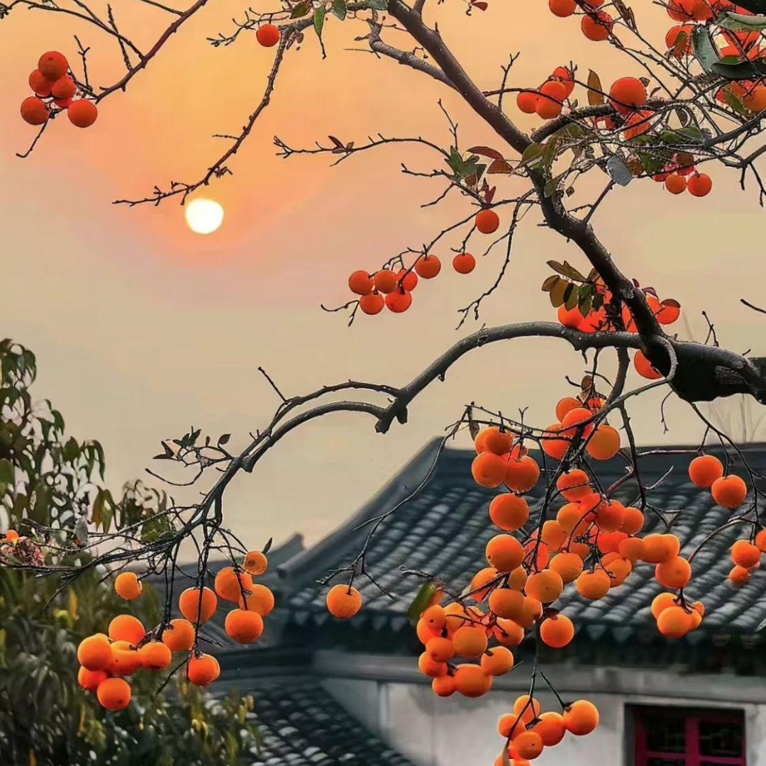 每一个明天封面
