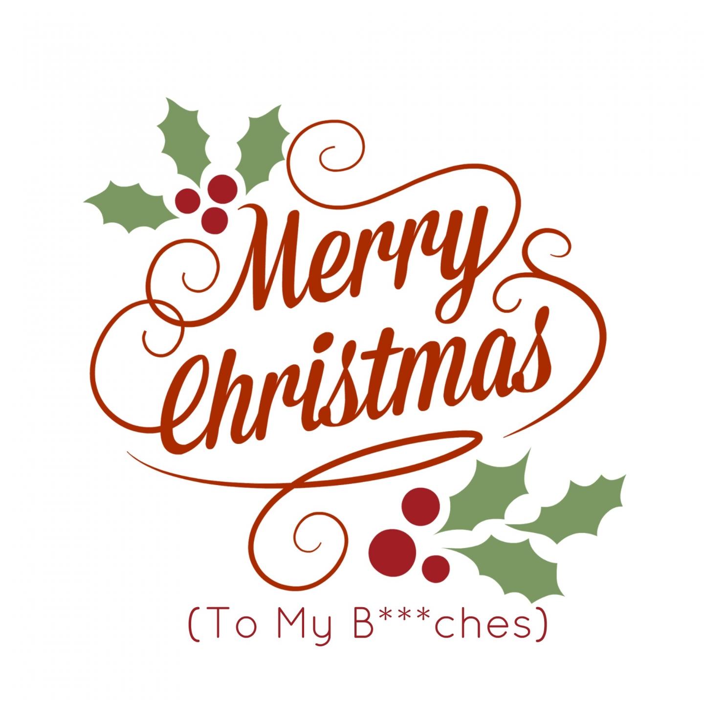 Merry Christmas (To My B***ches)