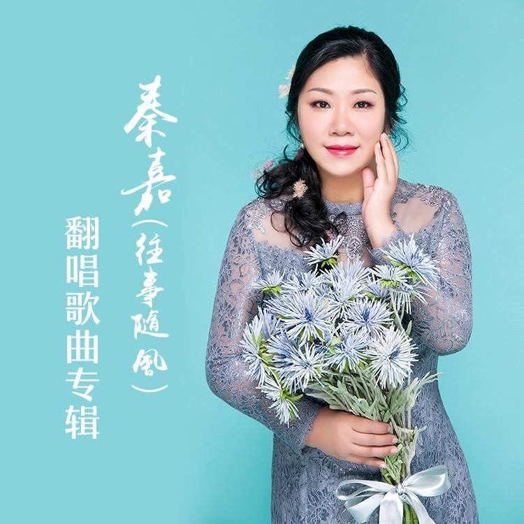 奈何岁月封面