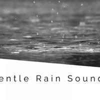 White Noise Rain