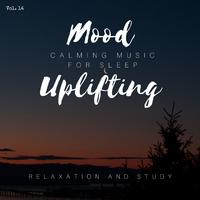 Mood Uplifting - Calming Music For Sleep, Relaxation And Study, Vol. 14