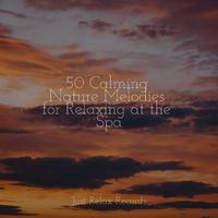 50 Calming Nature Melodies for Relaxing at the Spa