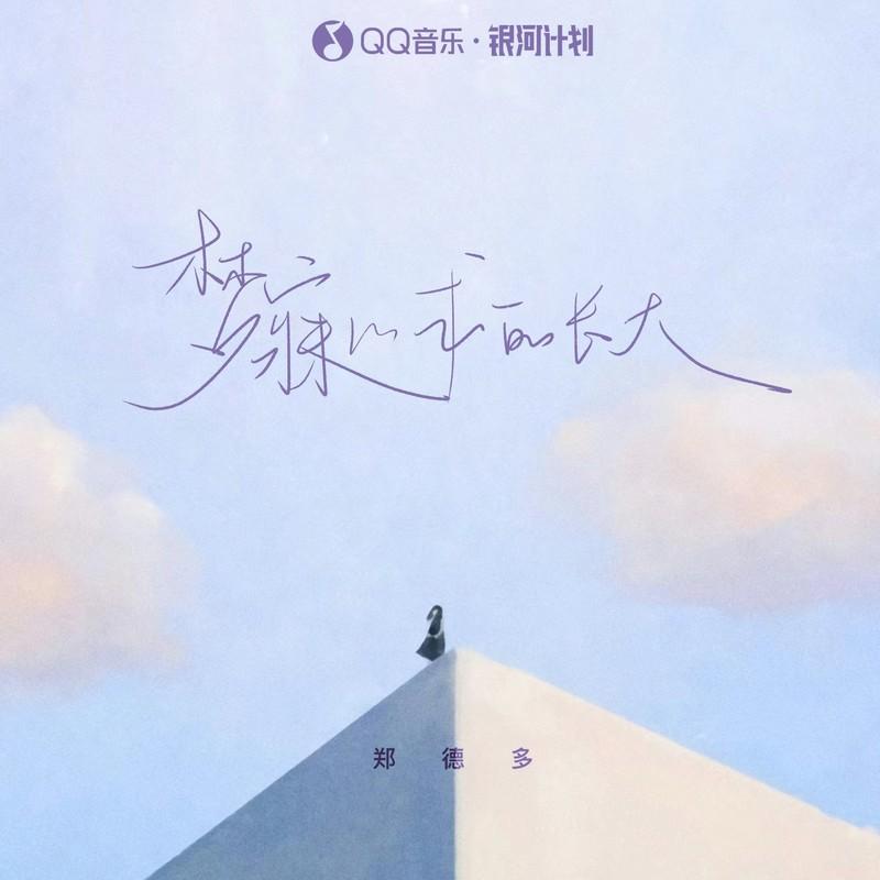 梦寐以求的长大封面