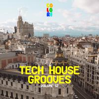 Tech House Grooves 12