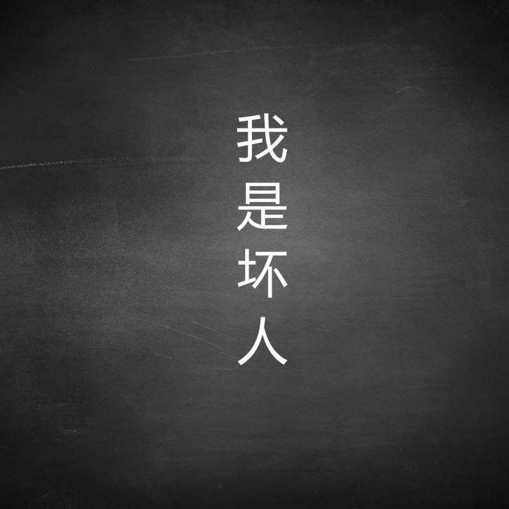 我是坏人封面