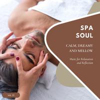 Spa Soul - Calm, Dreamy And Mellow Music For Relaxation And Reflextion, Vol. 19