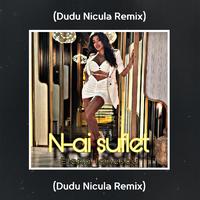 N-Ai Suflet (Dudu Nicula Remix)