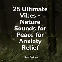 25 Ultimate Vibes - Nature Sounds for Peace for Anxiety Relief