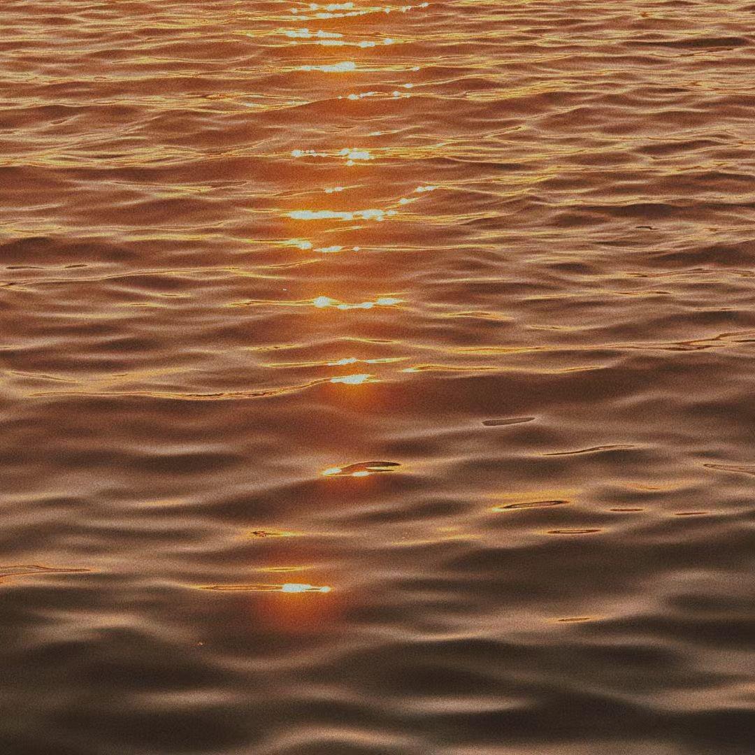 在大观公园看夕阳专辑
