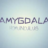 Amygdala Homunculus