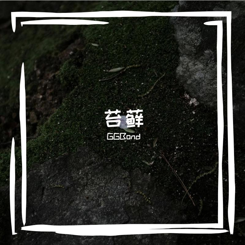 萤火困在玻璃瓶的挣扎微光封面