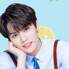 华语歌单 - 歌单 - 网易云音乐