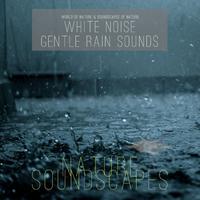 White Noise Gentle Rain Sounds