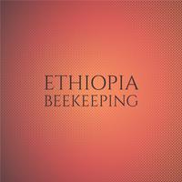 Ethiopia Beekeeping