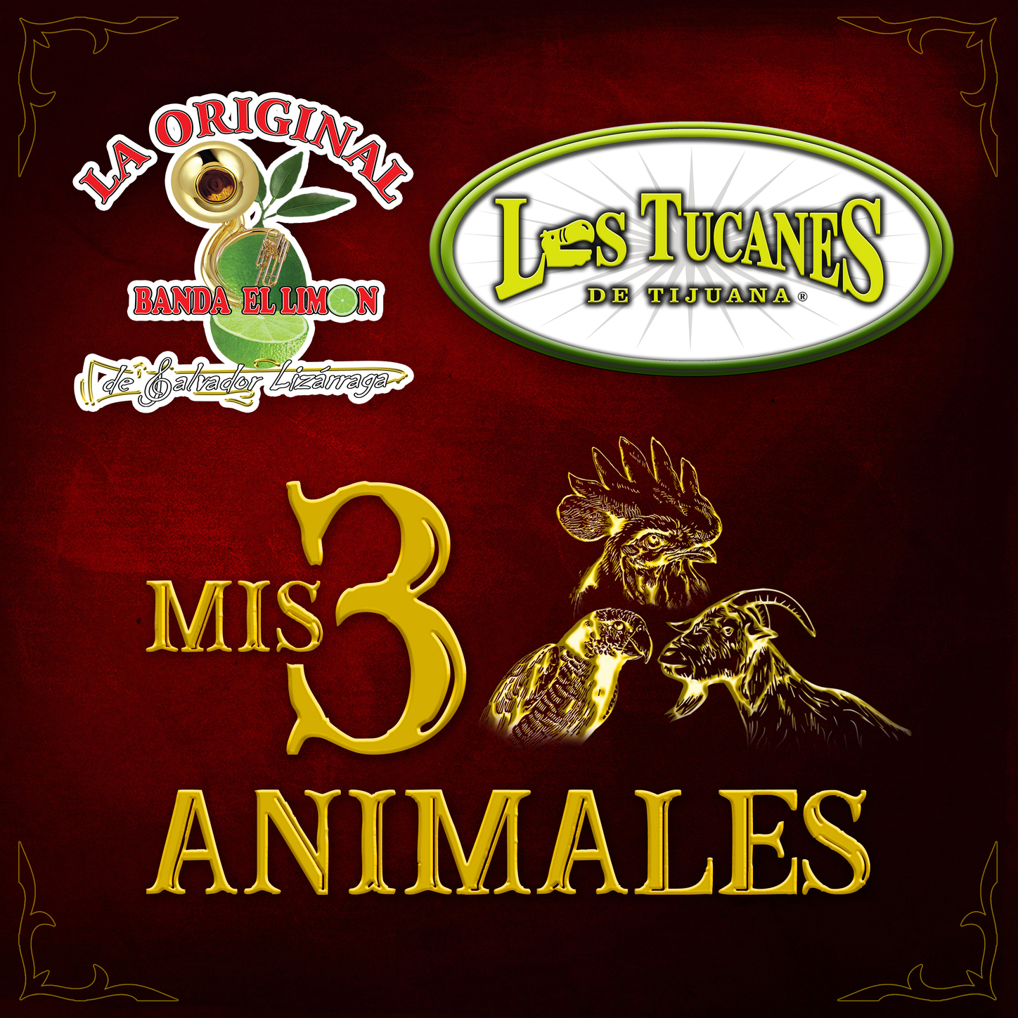 Los tucanes de tijuana mis 3 animales