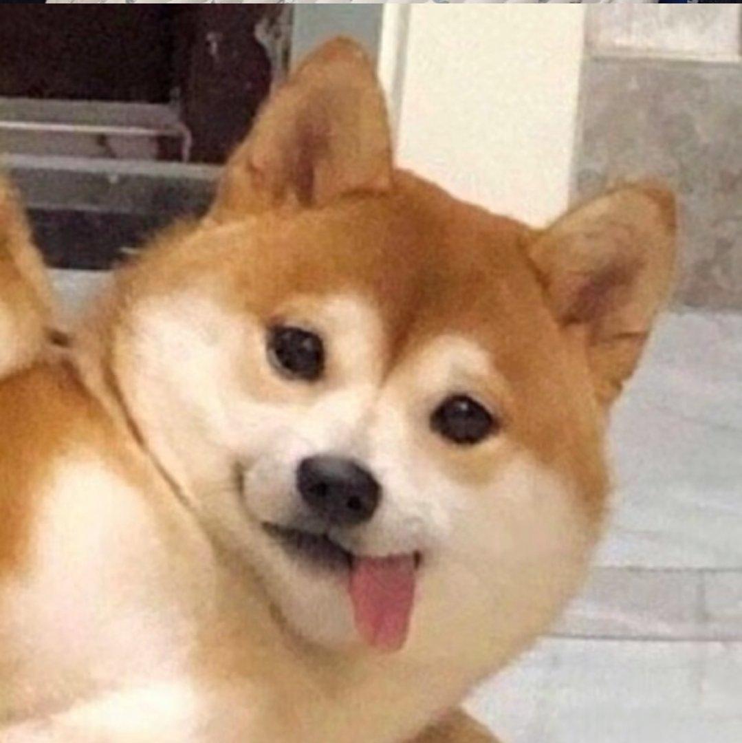 欧美流行歌曲｜好听到单曲循环