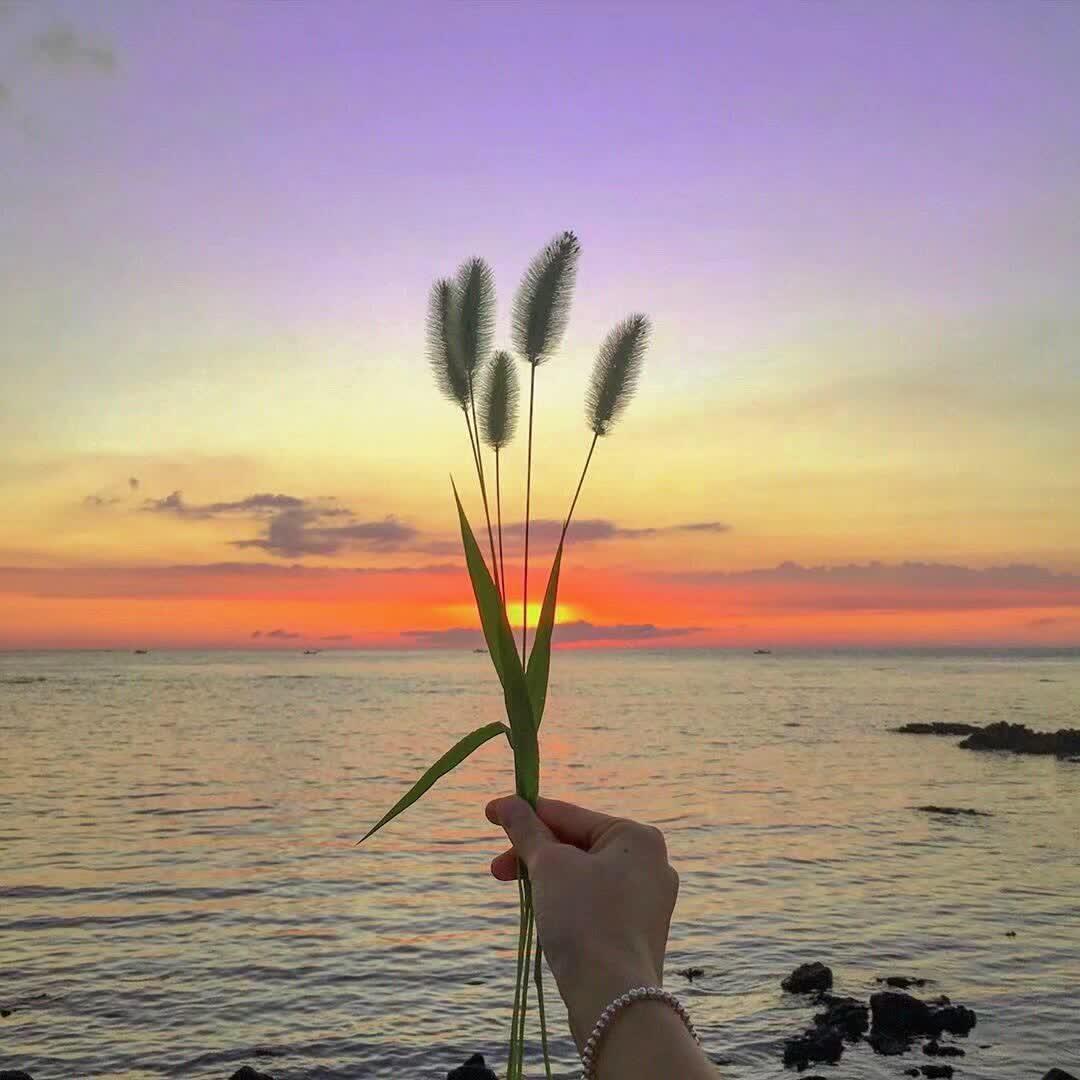 乌云中封面