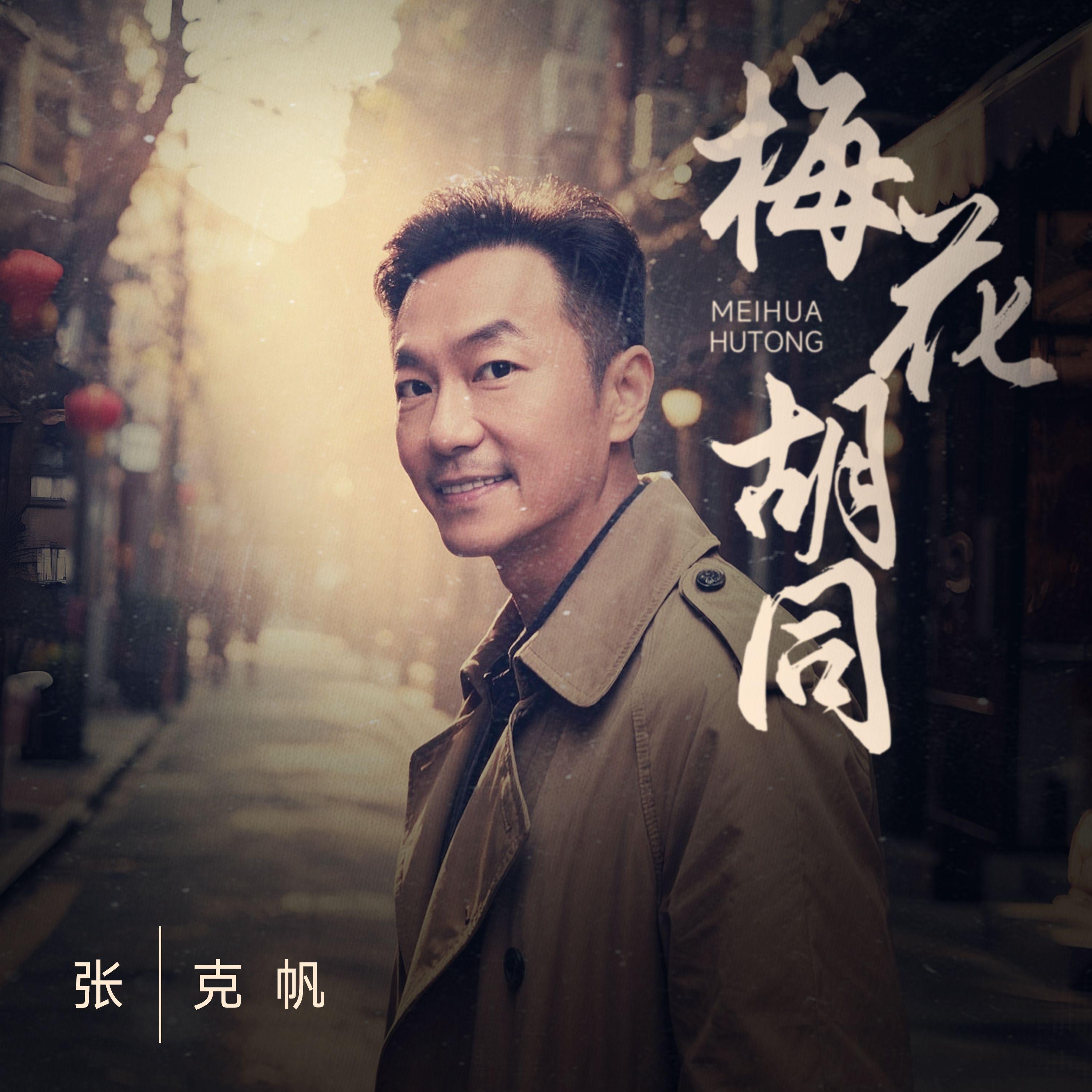 梅花胡同封面