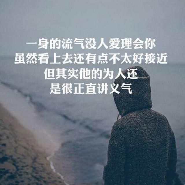 朵儿 - 是唱歌的风封面