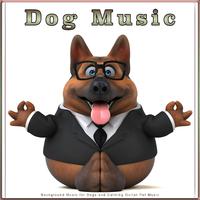 Dog Music: Background Music for Dogs and Calming Guitar Pet Music