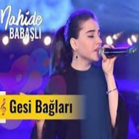 Gesi Bağları