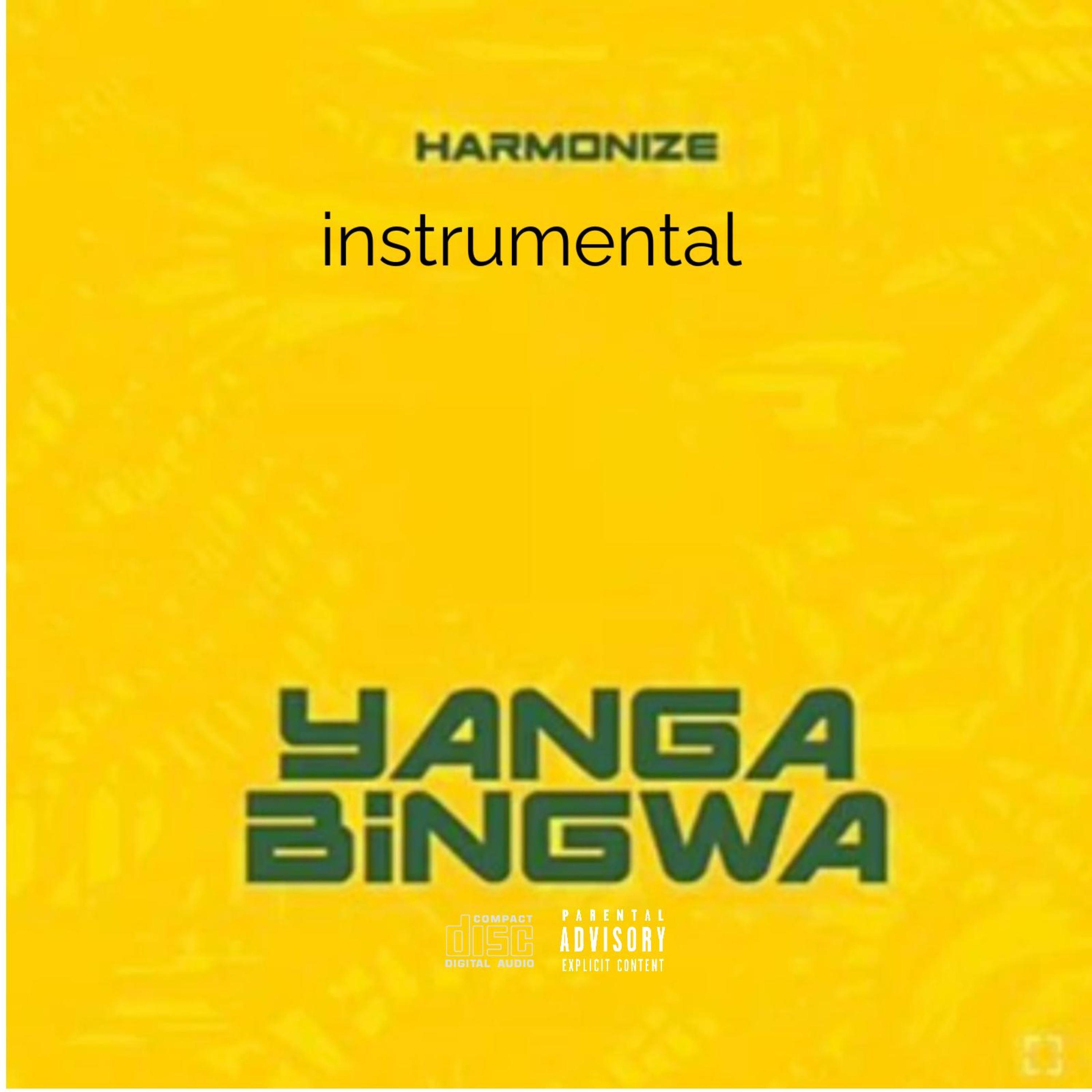 YANGA BINGWA