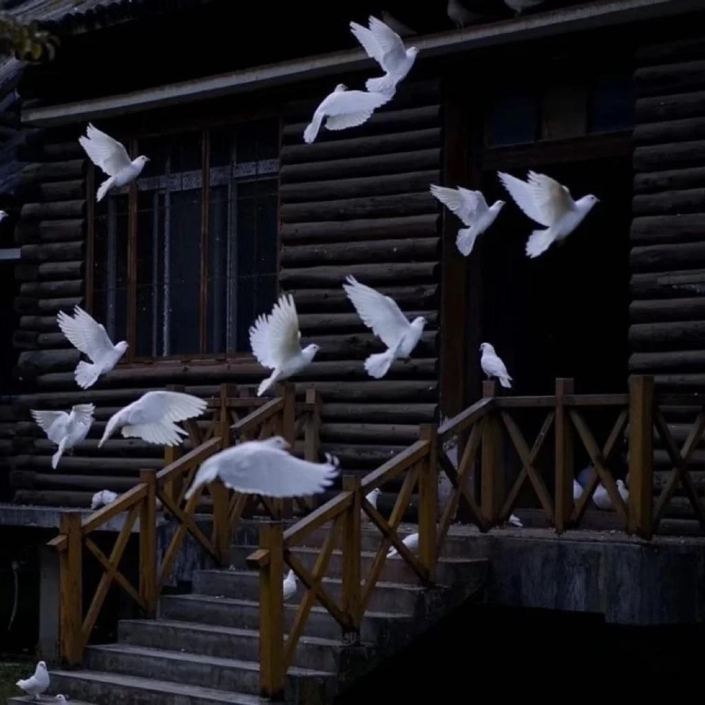 Lonely 夜晚沉寂 -月影朦胧