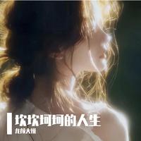 龙颜 - 杯杯敬自己(抖音热榜)